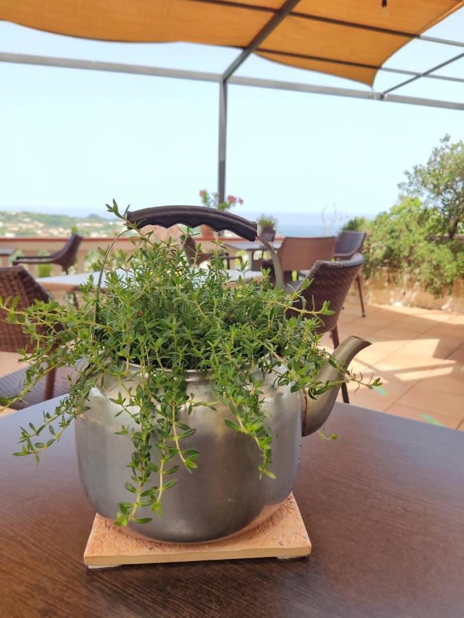 Hotel Ape Regina Casamicciola Terme Luaran gambar