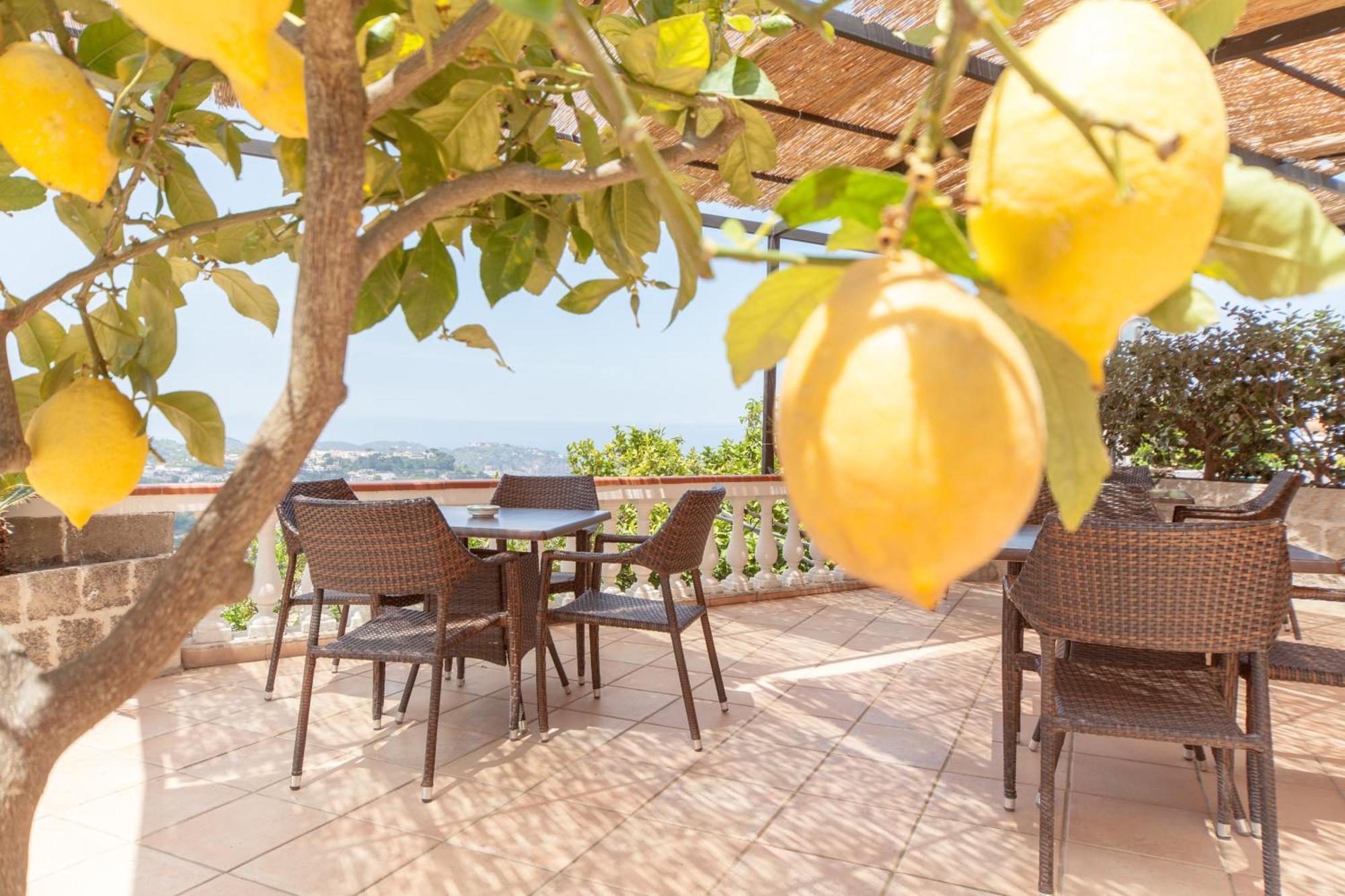 Hotel Ape Regina Casamicciola Terme Luaran gambar
